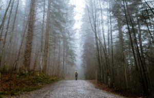 comment devenir garde forestier