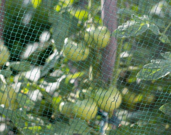 bird-netting.jpg