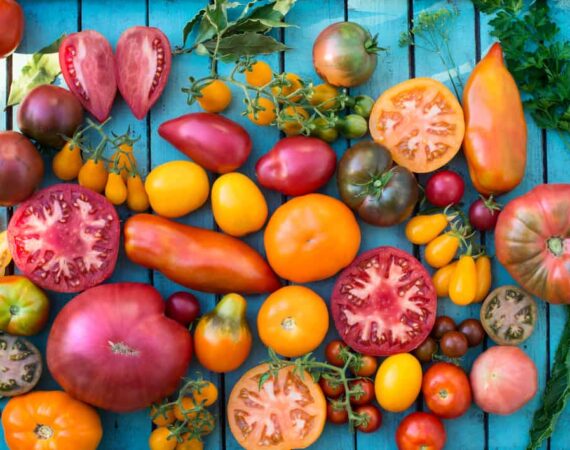 heirloom-tomato-variety.jpg