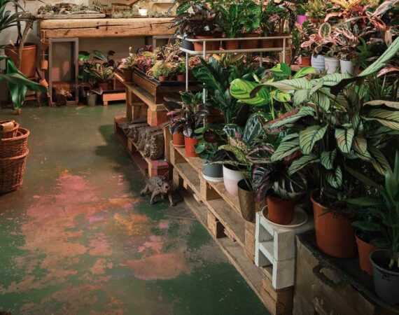 0vertical-image-flower-shop-with-large-numbers-different-flowers-plant-pots-shelves.jpg