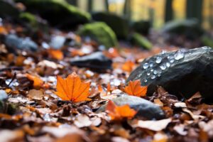 Reconnaître les crottes de renard : Signes distinctifs et astuces