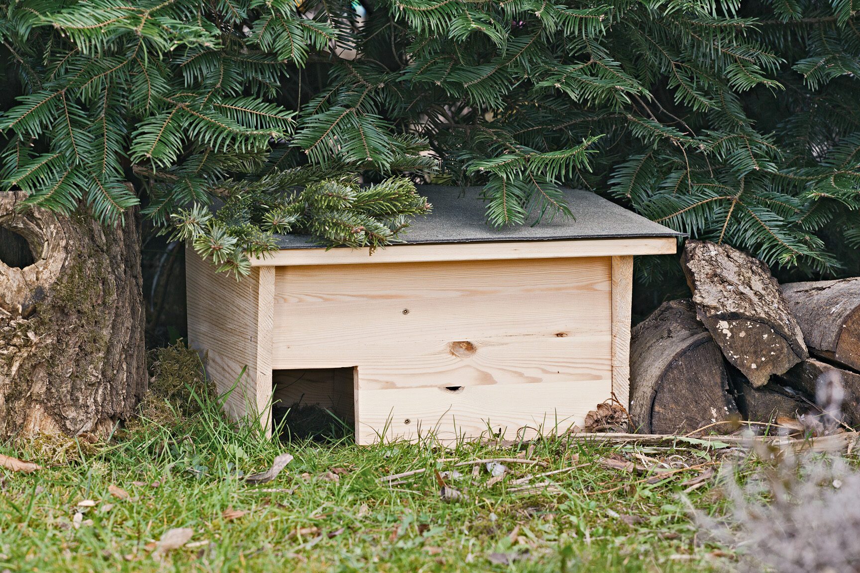 creer-un-refuge-pour-la-faune-locale-dans-son-jardin