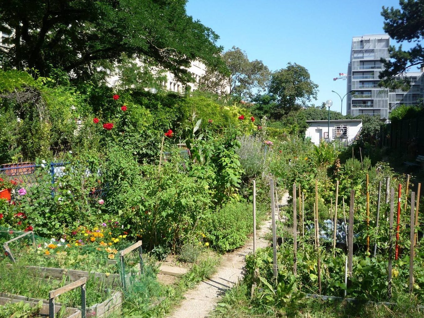 cultiver-un-jardin-ecologique-en-ville
