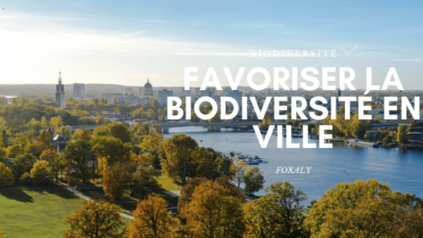 favoriser-la-biodiversite-en-milieu-urbain