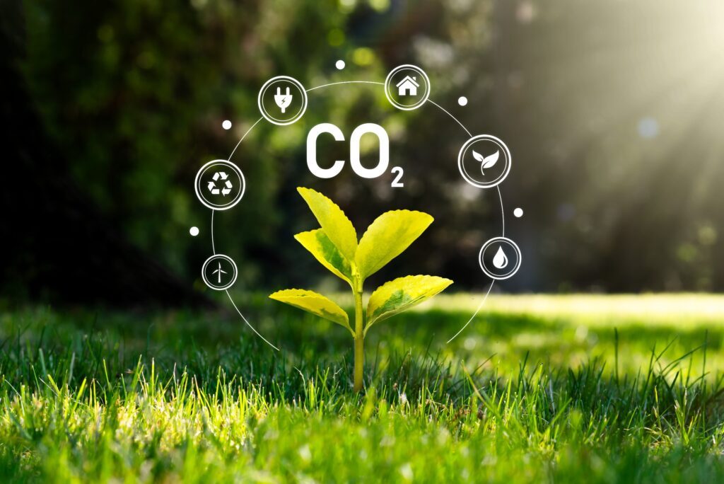 Réduction de l’empreinte carbone : les initiatives multisectorielles