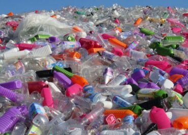 Quelles bouteilles plastiques sont recyclabLes ?