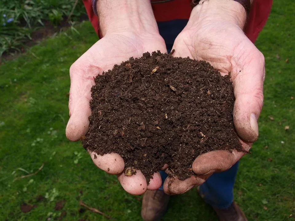 temps-de-decomposition-du-compost-ce-que-vous-devez-savoir