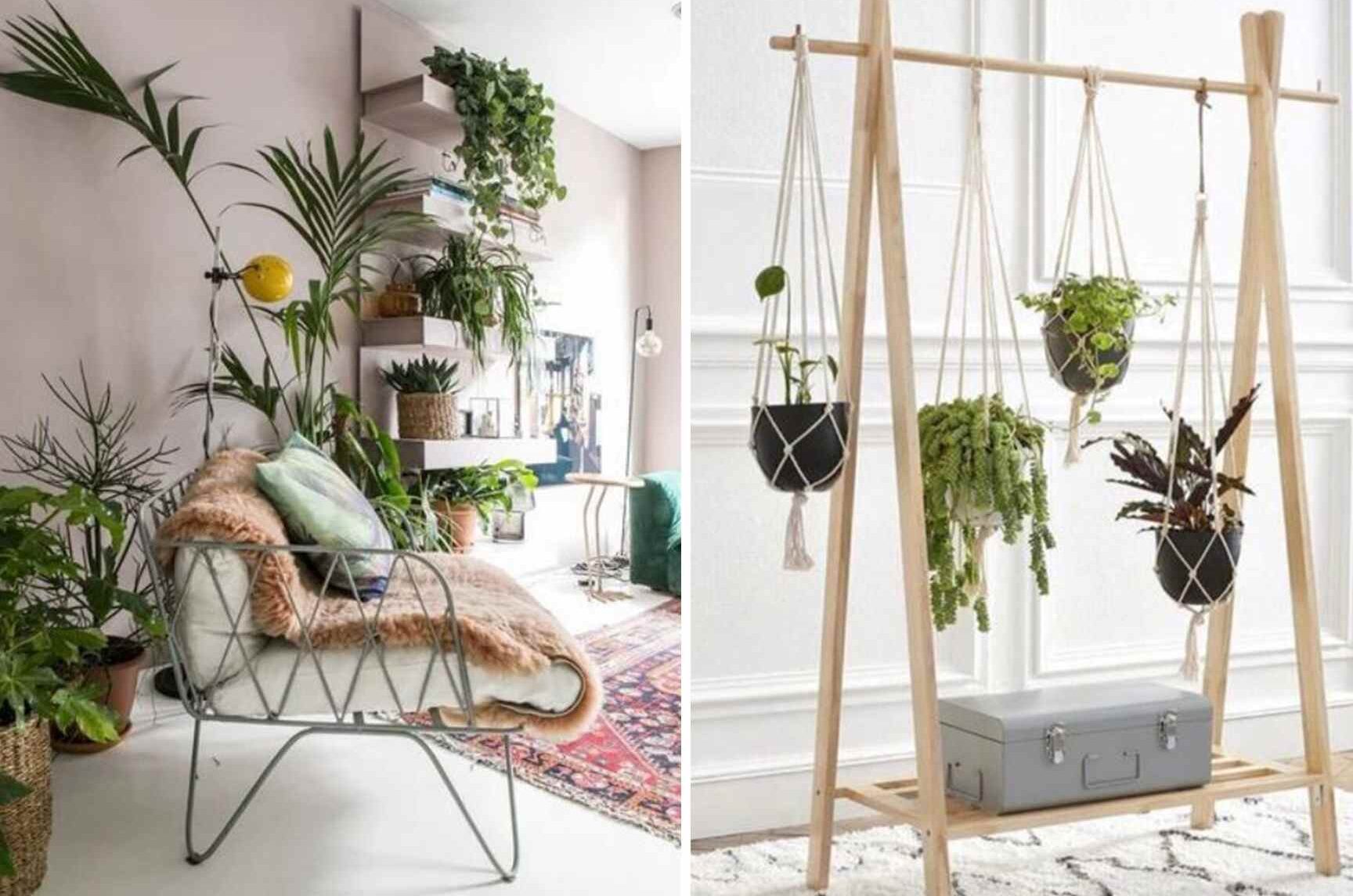 comment-creer-un-mur-vegetal-interieur-avec-des-plantes-suspendues