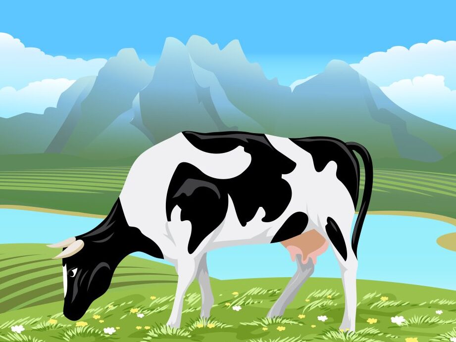 quels-sont-les-avantages-du-paturage-en-altitude