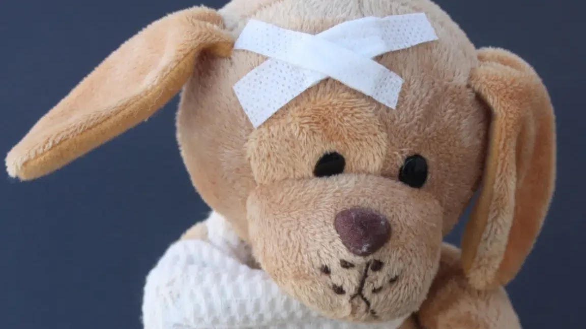 comment-recycler-ses-anciennes-peluches
