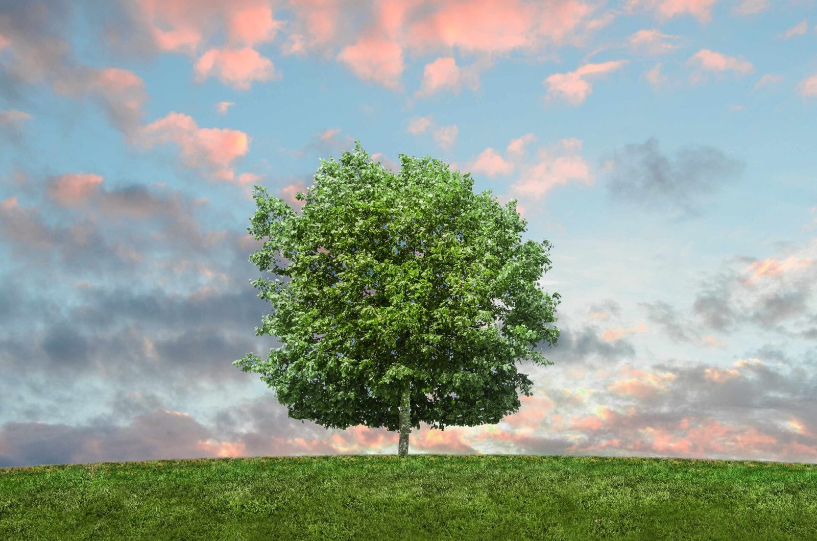 comment-etre-une-entreprise-responsable