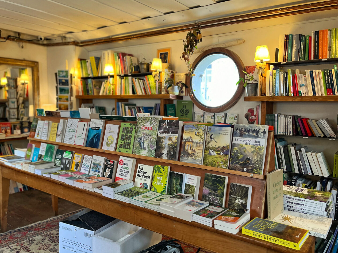 decouverte-dune-bibliotheque-atypique-entre-livres-et-nature-sauvage