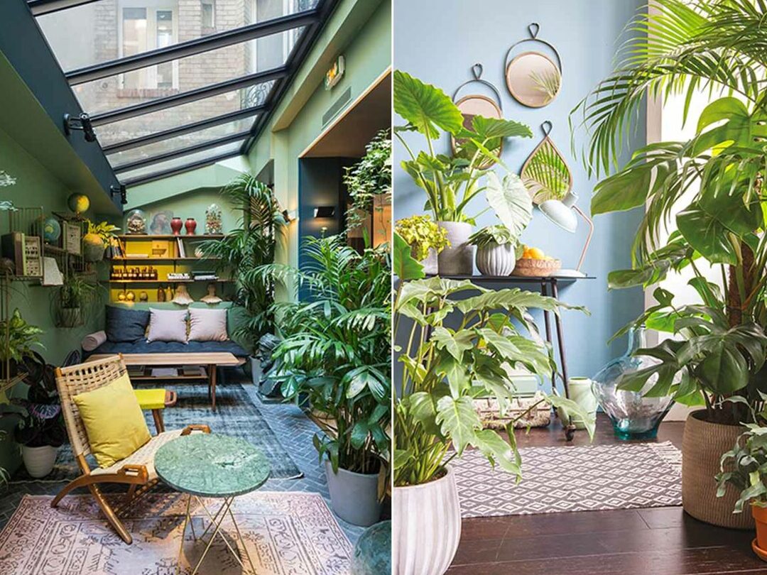 quelle-est-la-deco-tendance-pour-les-plantes-dinterieur-cette-annee