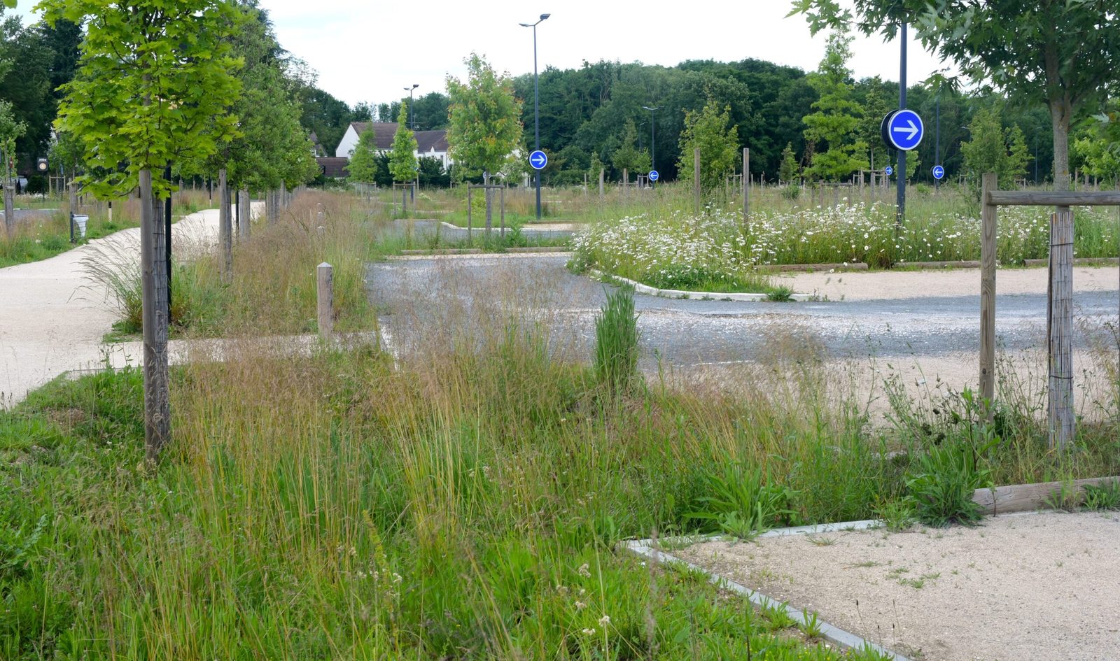 periode-hivernage-tortue-2024-2025-conseils-et-etapes-cles