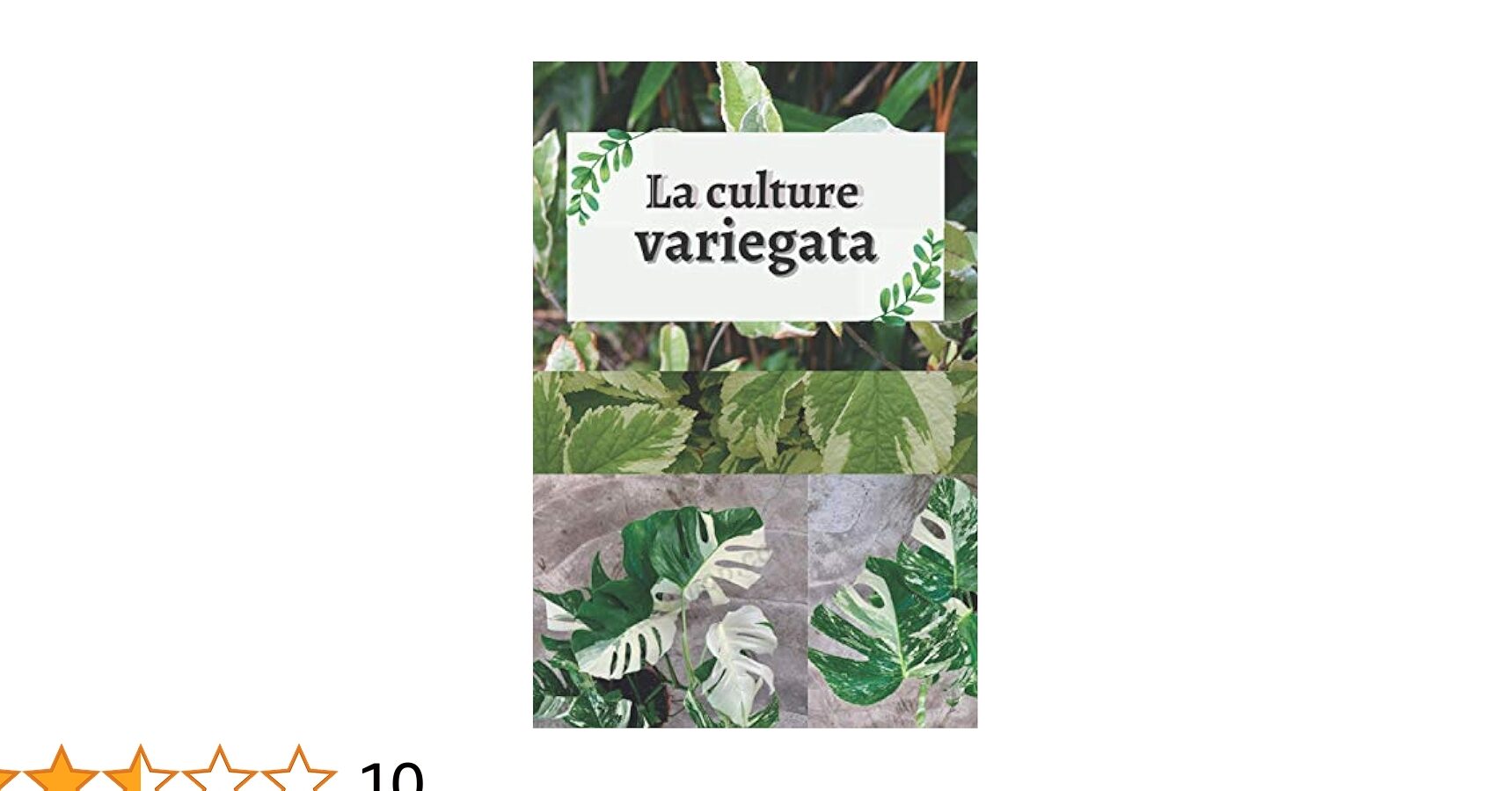 avis-et-temoignages-authentiques-sur-la-monstera-variegata