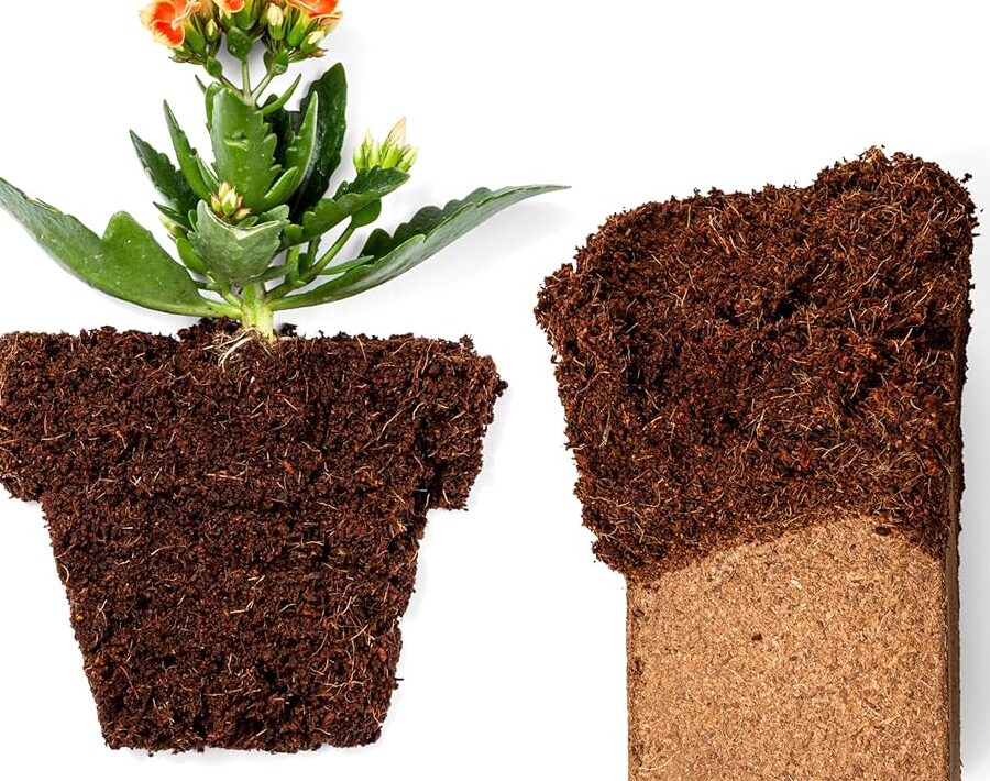 avis-et-temoignages-de-jardiniers-sur-lutilisation-de-la-fibre-de-coco-pour-les-plantes-dinterieur