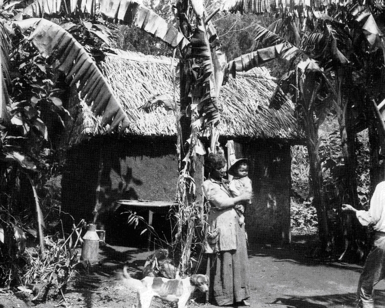 comment-les-interieurs-des-maisons-bourgeoises-de-1900-refletent-ils-les-preoccupations-ecologiques-daujourdhui