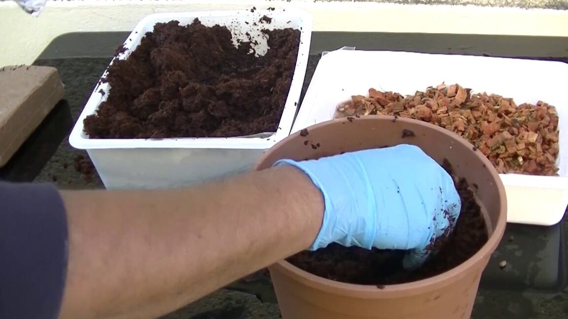 pourquoi-utiliser-un-melange-terreau-et-fibre-de-coco