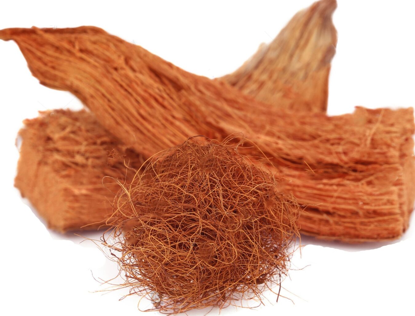 quels-sont-les-avantages-et-inconvenients-de-la-fibre-de-coco-pour-le-jardinage