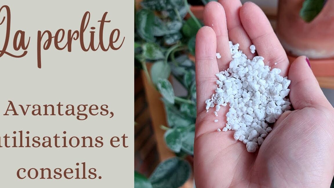 quest-ce-que-la-perlite-et-a-quoi-sert-elle