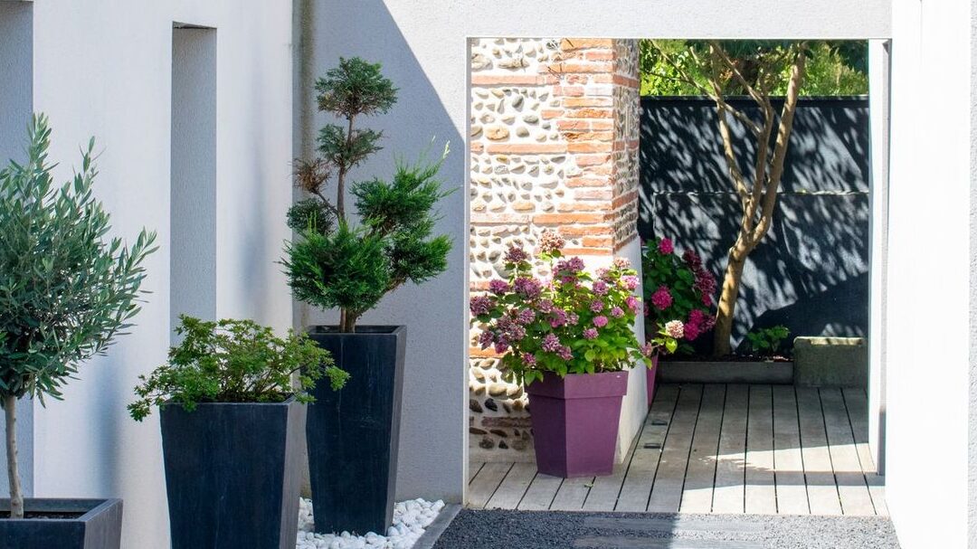 quelle-plante-choisir-pour-embellir-lentree-de-votre-maison-a-lexterieur
