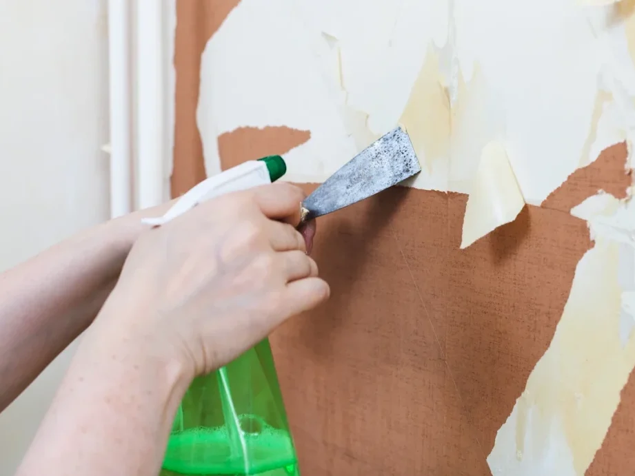 application-papier-peint-ecologique-comment-decorer-sans-nuire-a-lenvironnement