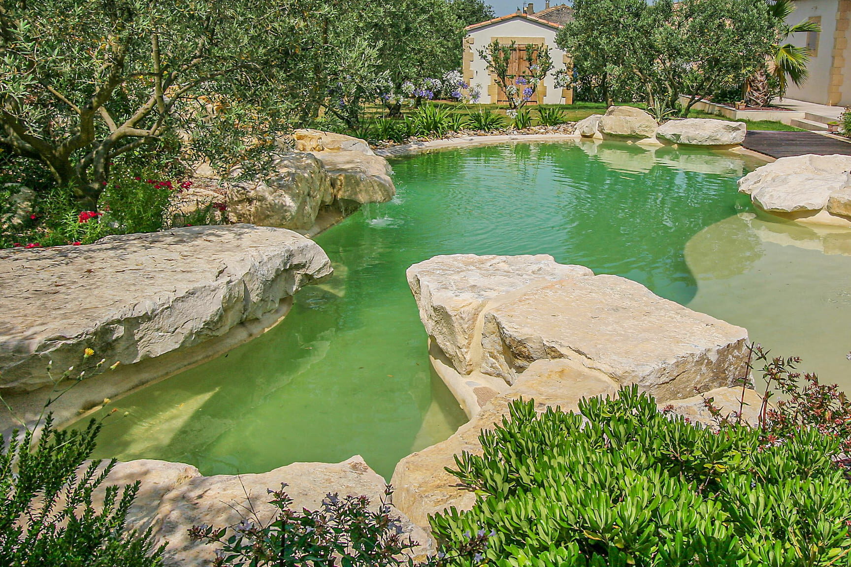 installer-une-piscine-ecologique-en-campagne-le-guide-complet