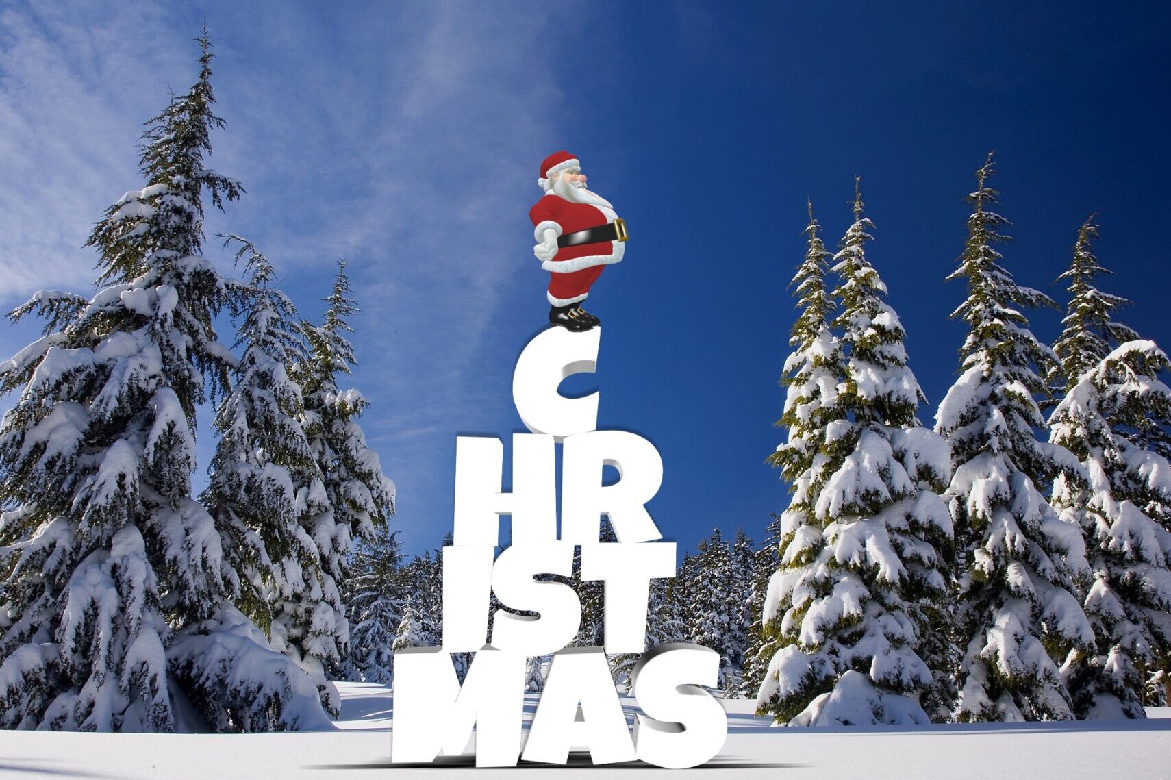 marque-places-de-noel-ecologiques-comment-concilier-decoration-festive-et-respect-de-lenvironnement