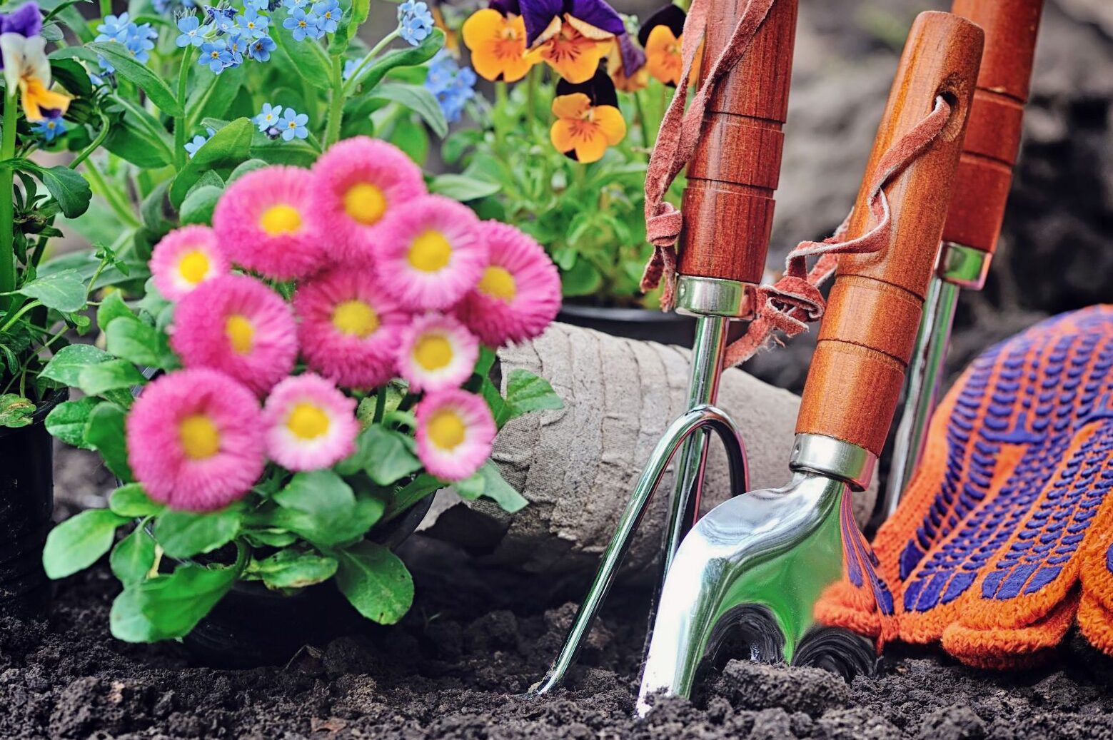 comment-proteger-les-pollinisateurs-dans-son-jardin