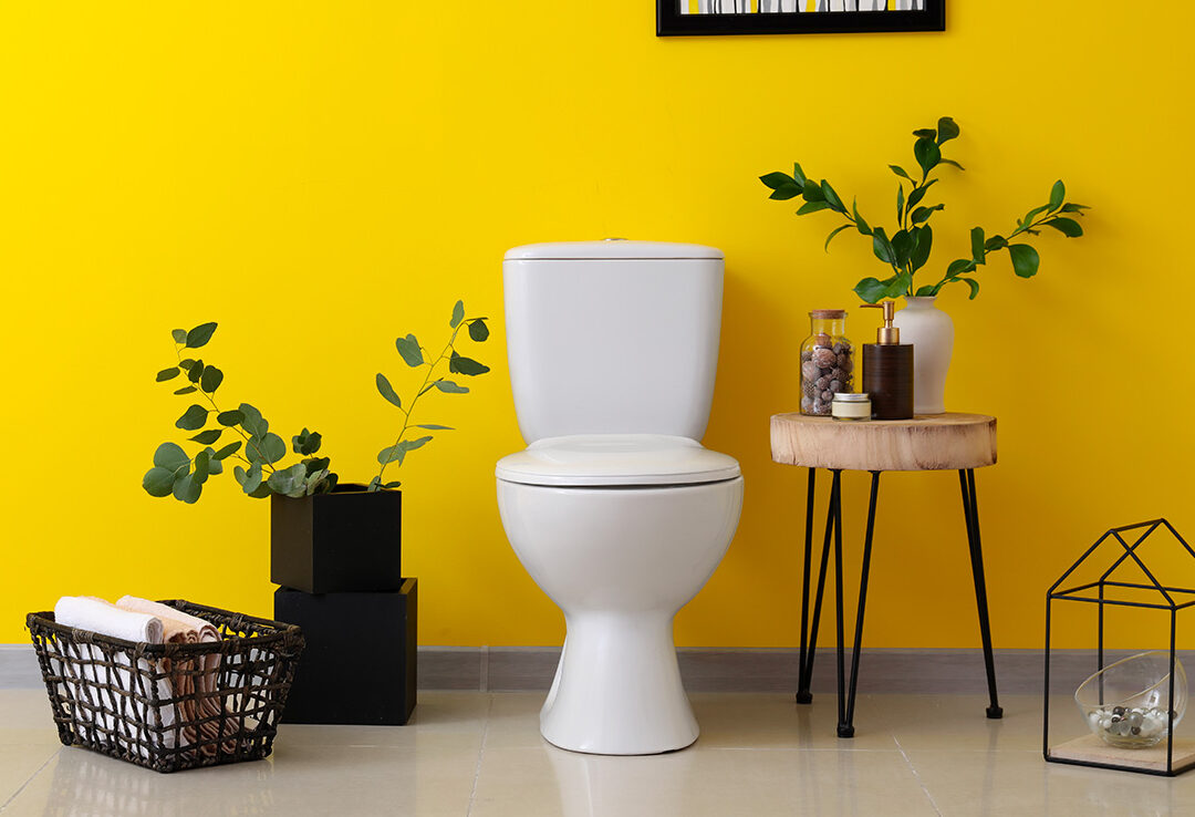 quelle-couleur-de-peinture-choisir-pour-vos-toilettes-conseils-et-tendances