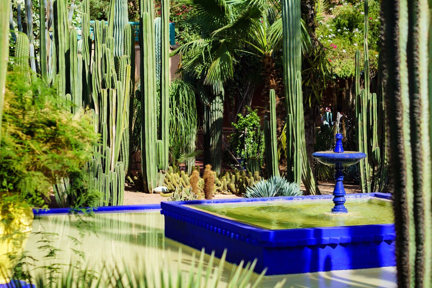 comment-integrer-la-couleur-bleu-majorelle-dans-votre-terrasse-pour-une-oasis-marocaine-chez-vous