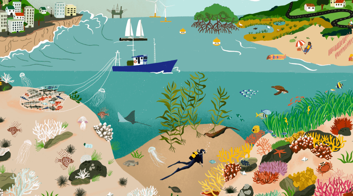 Quels sont les principaux impacts du changement climatique sur les écosystèmes marins ?