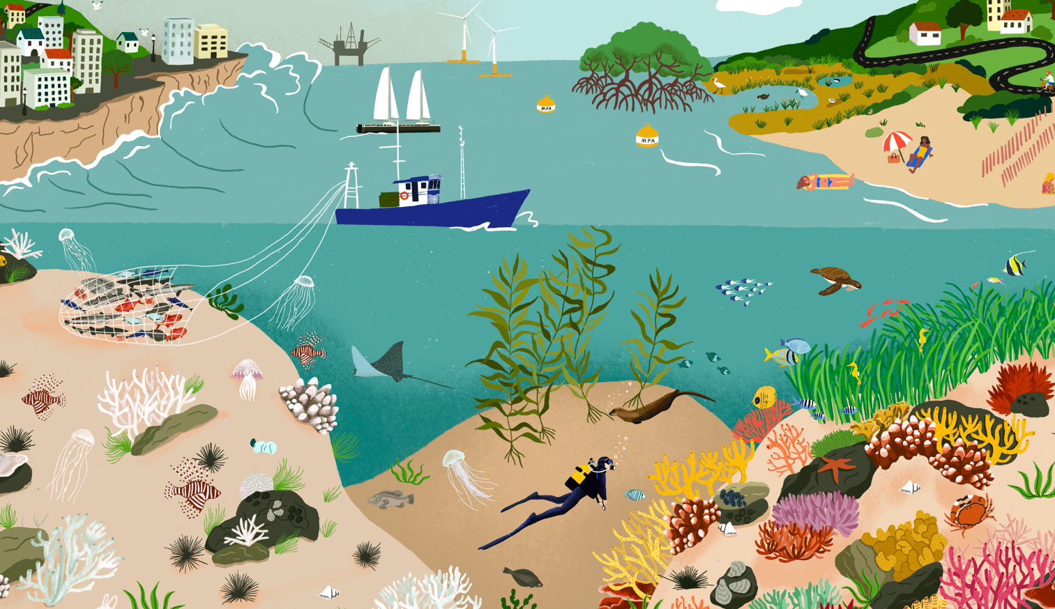 Quels sont les principaux impacts du changement climatique sur les écosystèmes marins ?