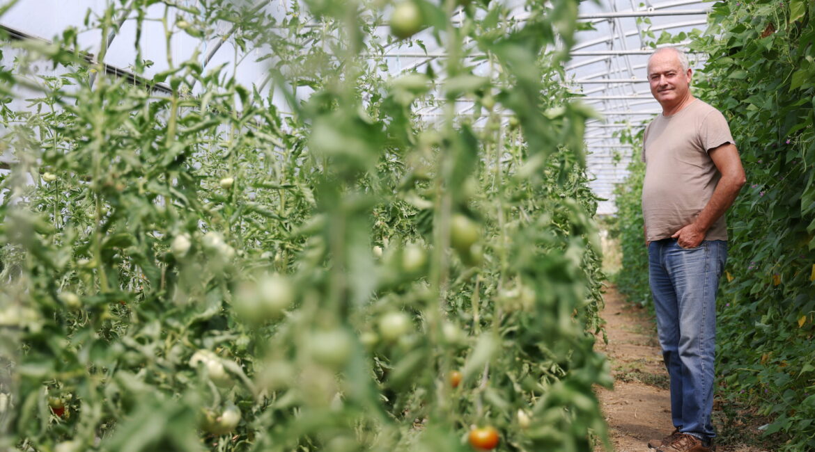 Témoignages : comment nos jardins ont changé après la réduction des pesticides