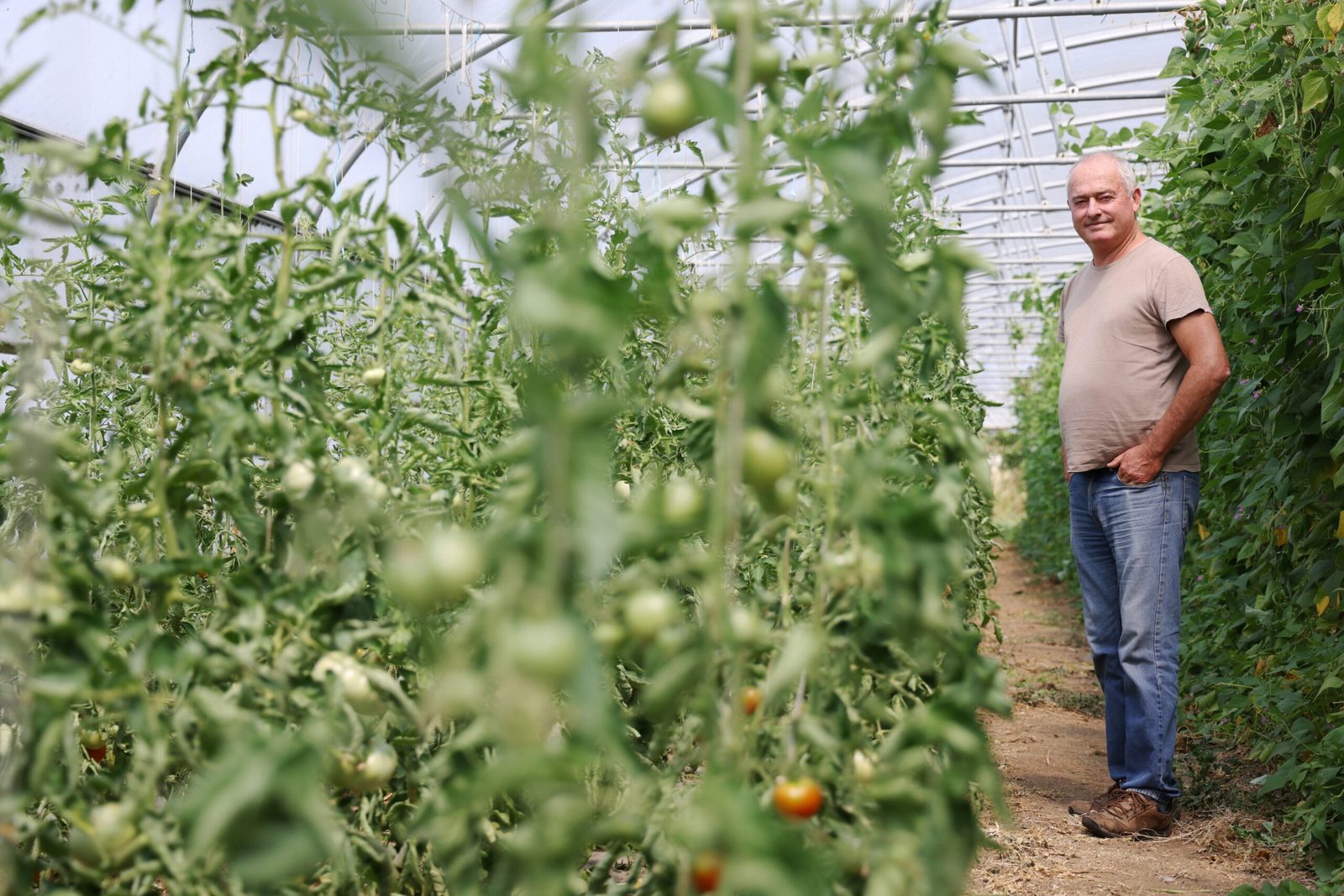 Témoignages : comment nos jardins ont changé après la réduction des pesticides